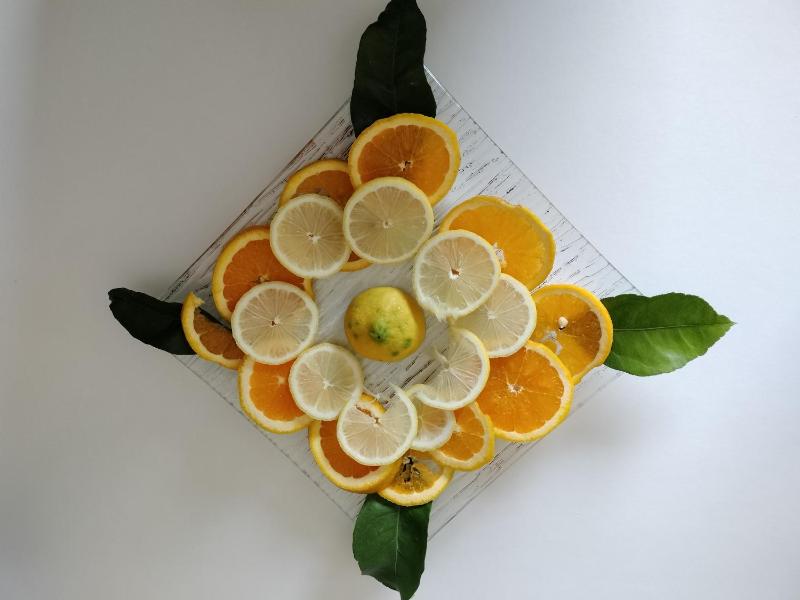 Villa Donna Teresa Sorrento Coast - image 12