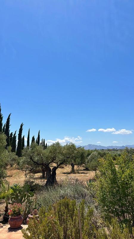 La Guzmana de Ronda - image 10
