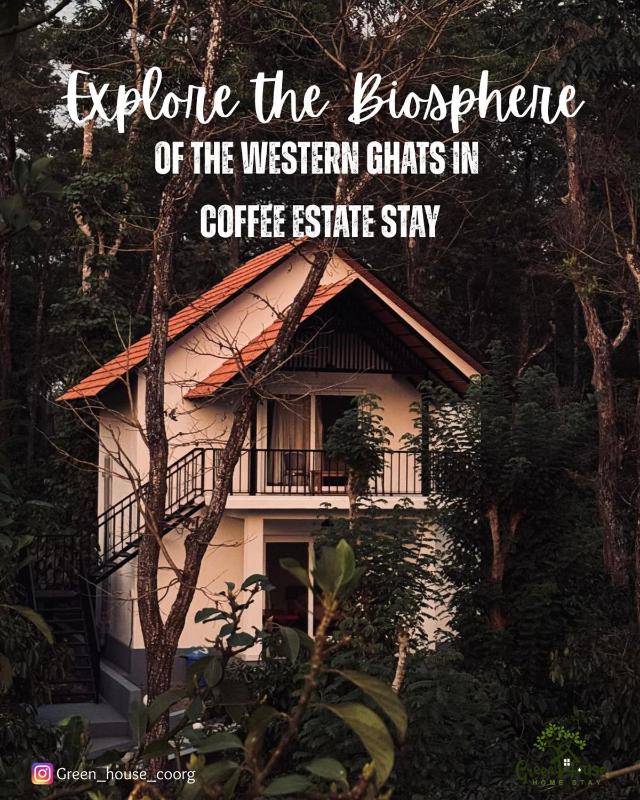 Greenhouse Homestay - image 17