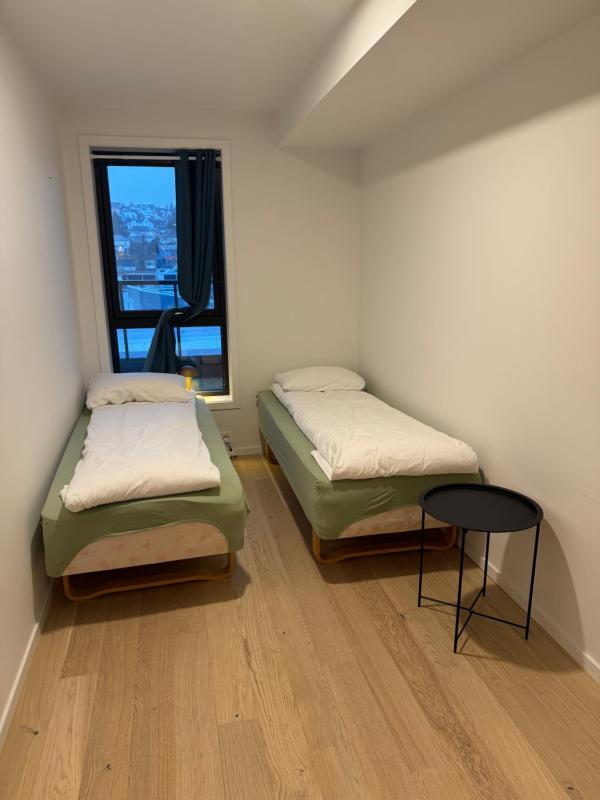 Northern Light Apartments - Nyholmen Luxury Penthouse B - image 14