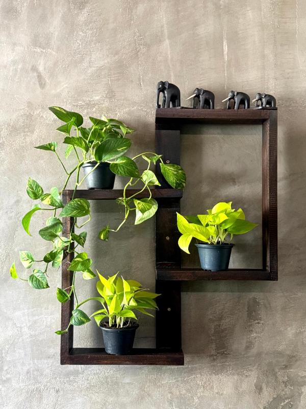 Little J villa - image 11