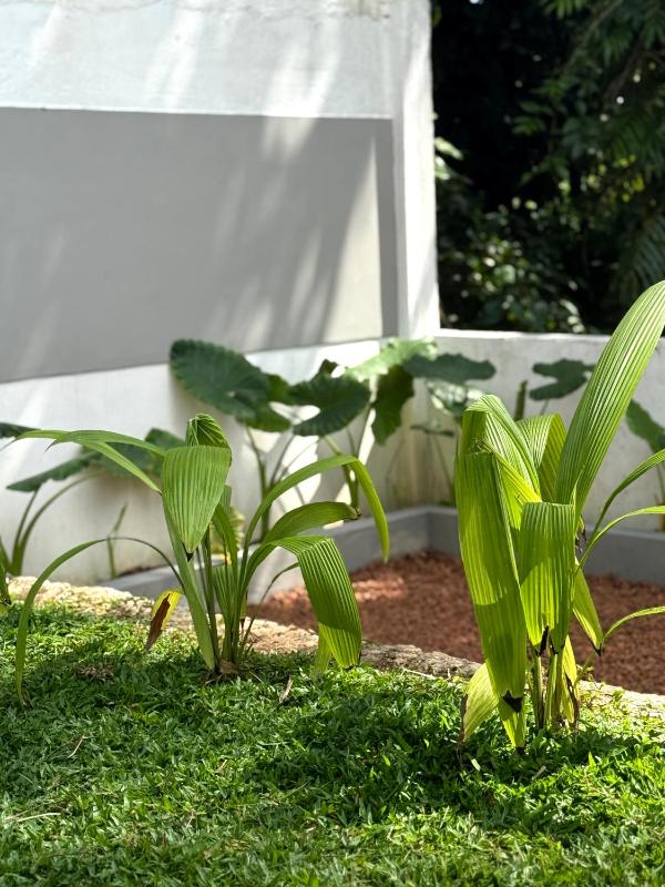 Little J villa - image 12