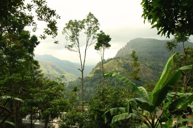 wonderland view - image 22