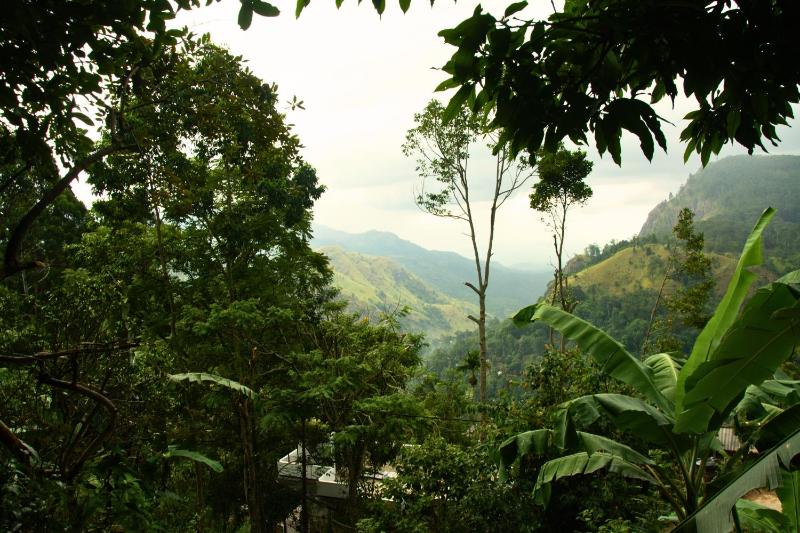 wonderland view - image 10