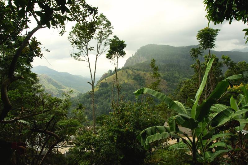 wonderland view - image 16