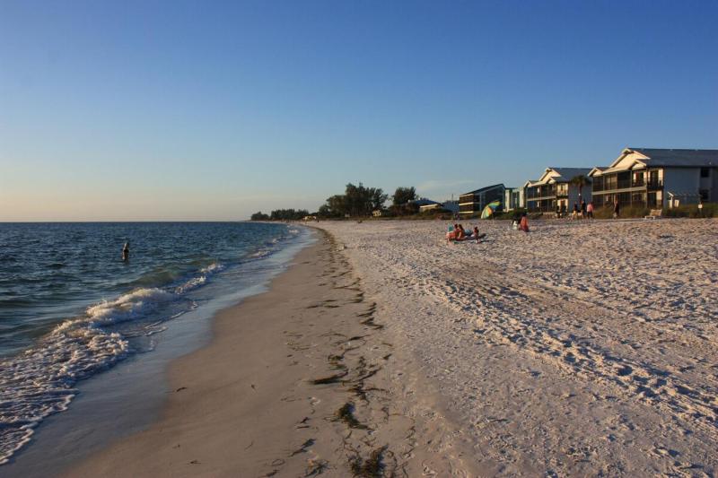 An Island Getaway at Palm Tree Villas - image 13