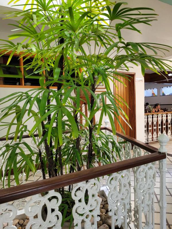 Hotel Terra Mater - image 7
