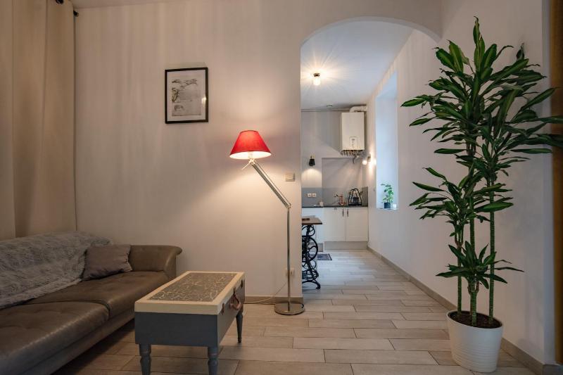 Quiet studio with garden near Part-Dieu - image 17