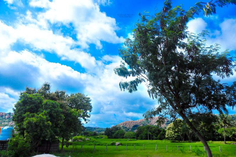 Shanthi Dhama Resort Hampi - image 11