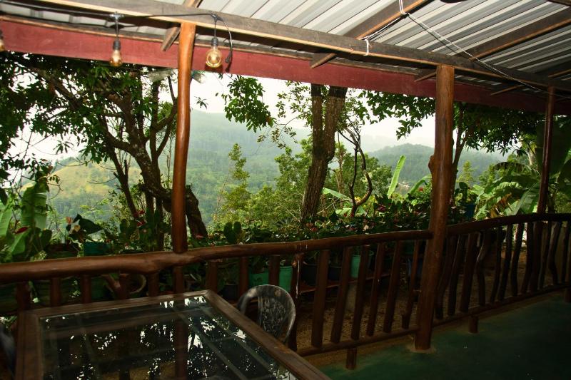 wonderland view - image 20
