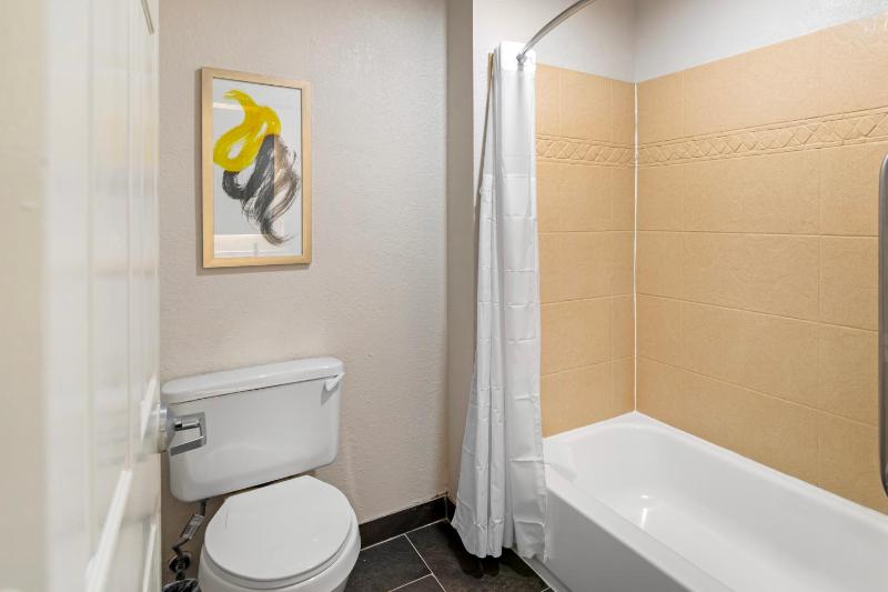 Comfort Inn & Suites Savannah Airport - image 4