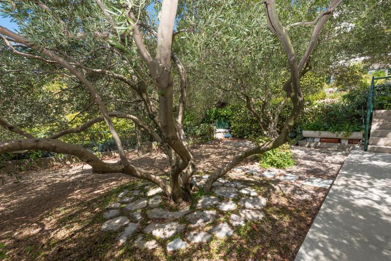 Apartments by the sea Brela Makarska - 20186 - image 34