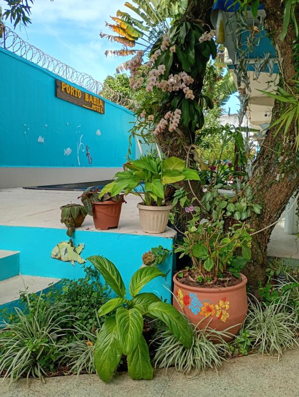 Porto Bahia Hotel - image 30