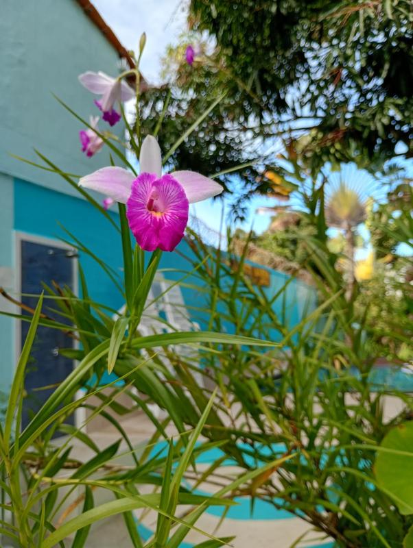 Porto Bahia Hotel - image 36