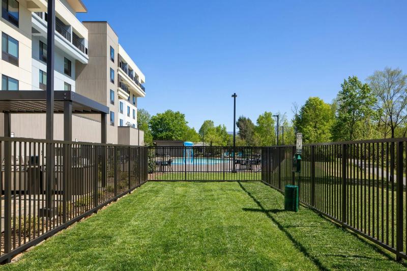 TownePlace Suites by Marriott Pigeon Forge - image 9