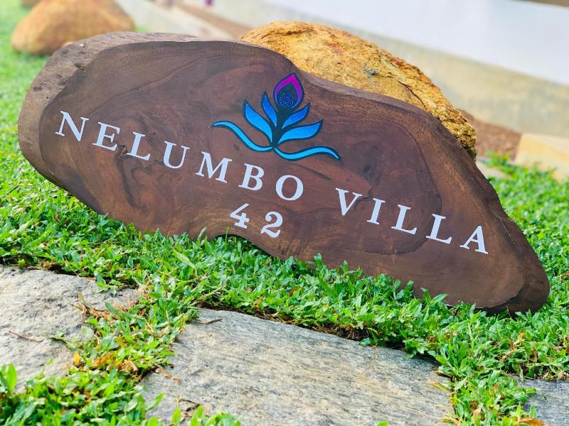 Nelumbo Villa 42 - oasis of relaxations - image 3