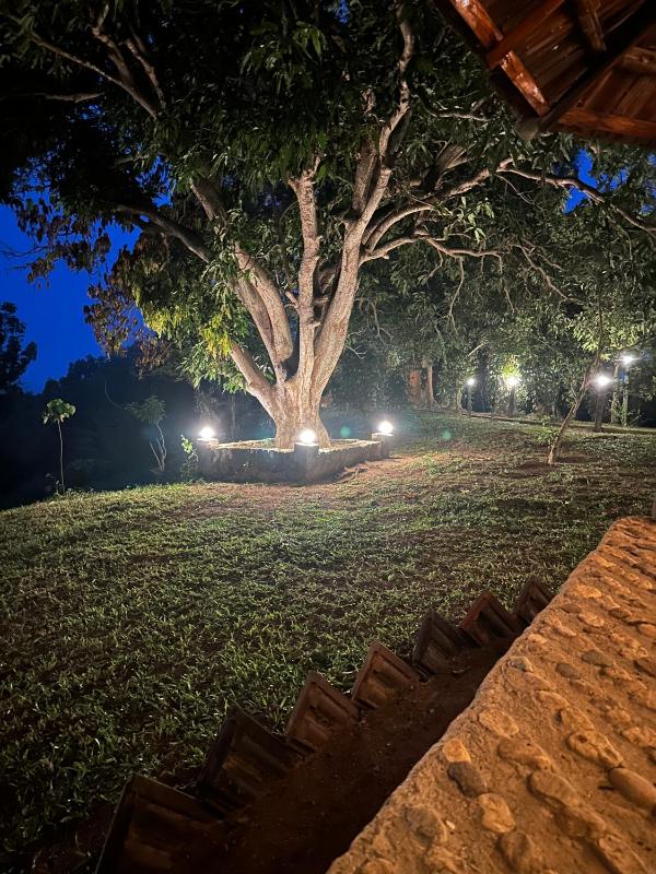 Pepper Hills Hostel & Cottages - image 7