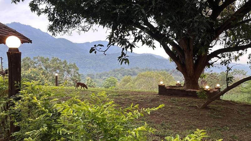 Pepper Hills Hostel & Cottages - image 2