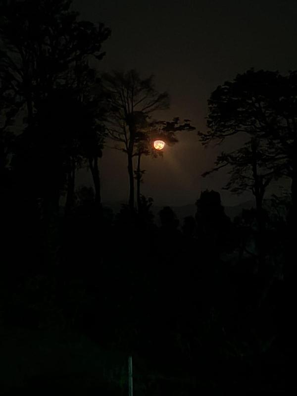 Dishaa Estate View Home Stay - image 8