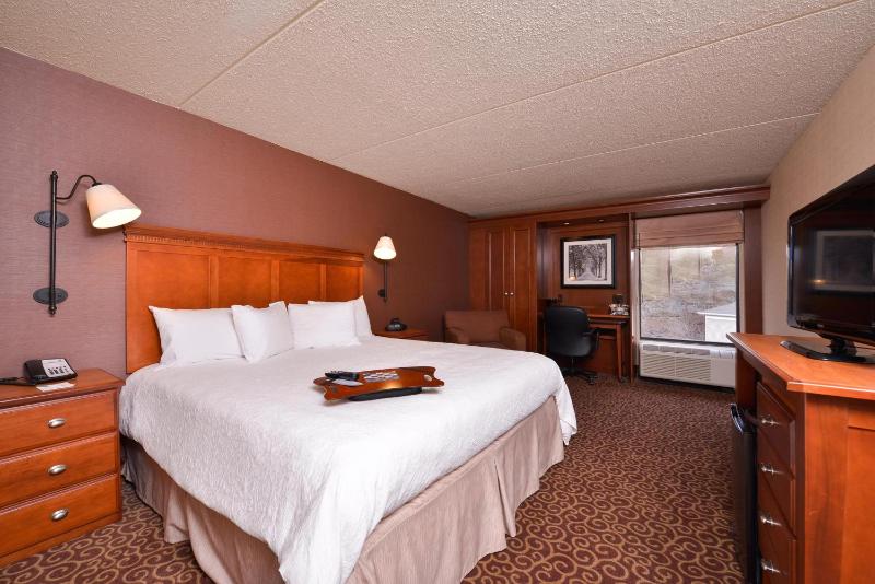 King Room - Non-Smoking image 4