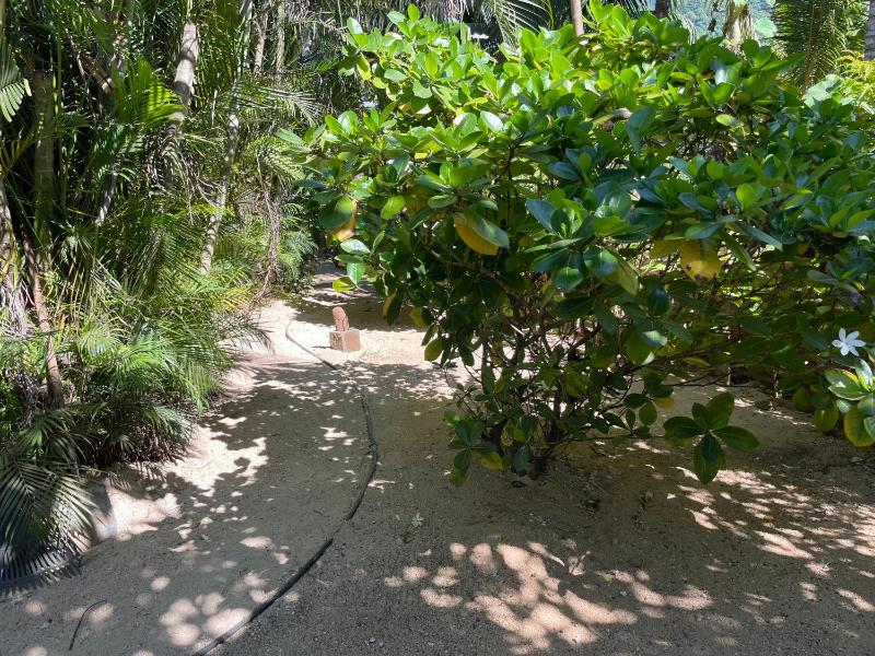 Tauraatini house F4- MOOREA Maatea - image 16