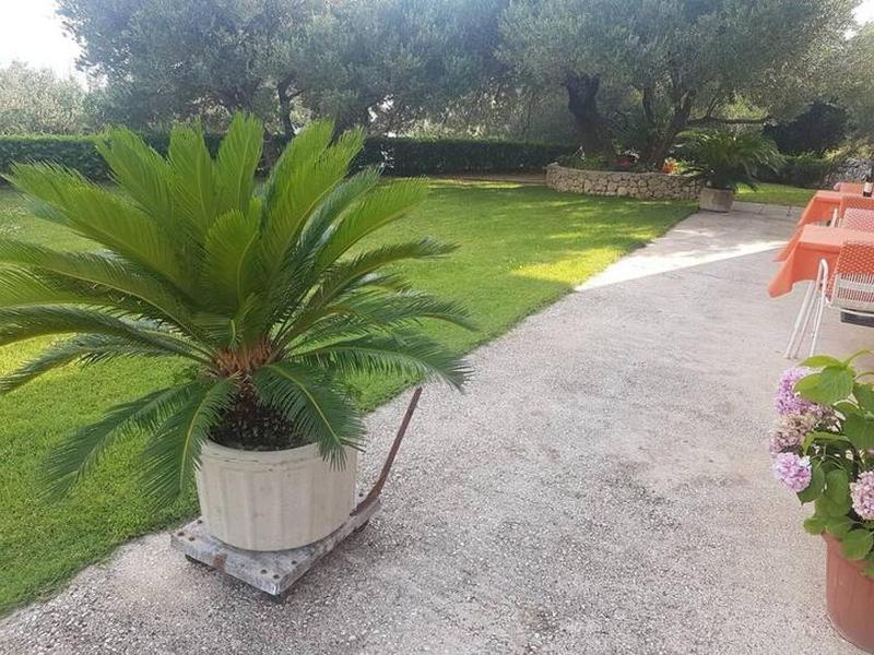 Apartments with parking space Makarska - 6768 - image 12