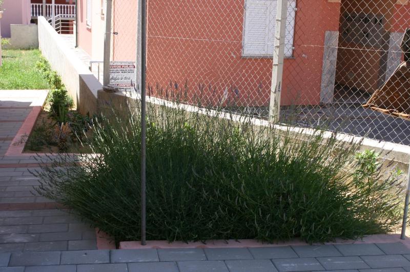 Apartments with parking space Novalja Pag - 3294 - image 7