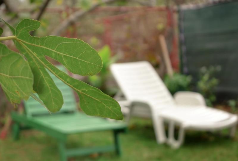 Apartments with parking space Rogoznica - 15876 - image 2