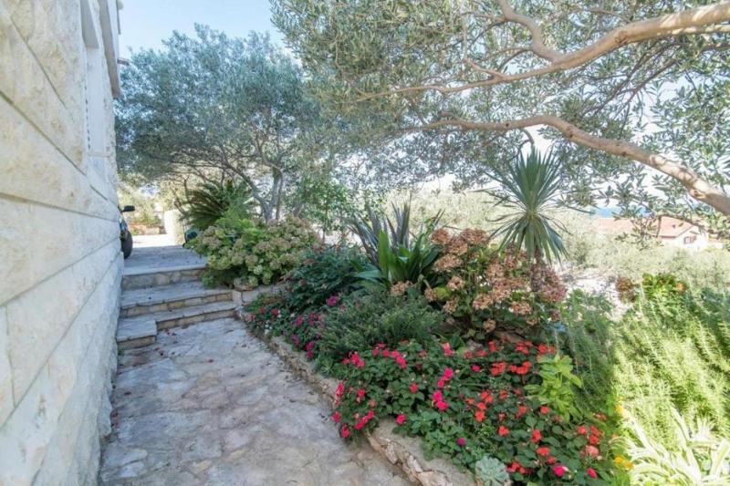 Family-friendly apartments with swimming pool Supetar Brac - 16774 - image 29