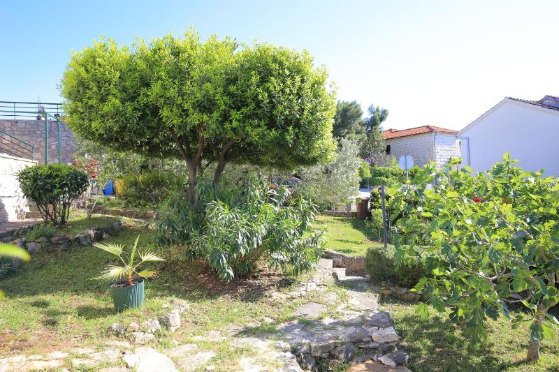 Apartments with parking space Splitska Brac - 17023 - image 2
