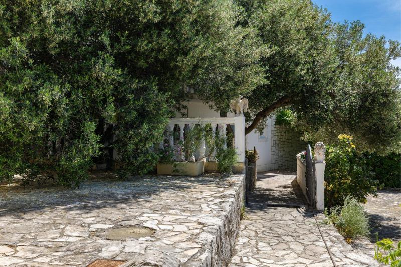 Apartments and rooms by the sea Brela Makarska - 24416 - image 18