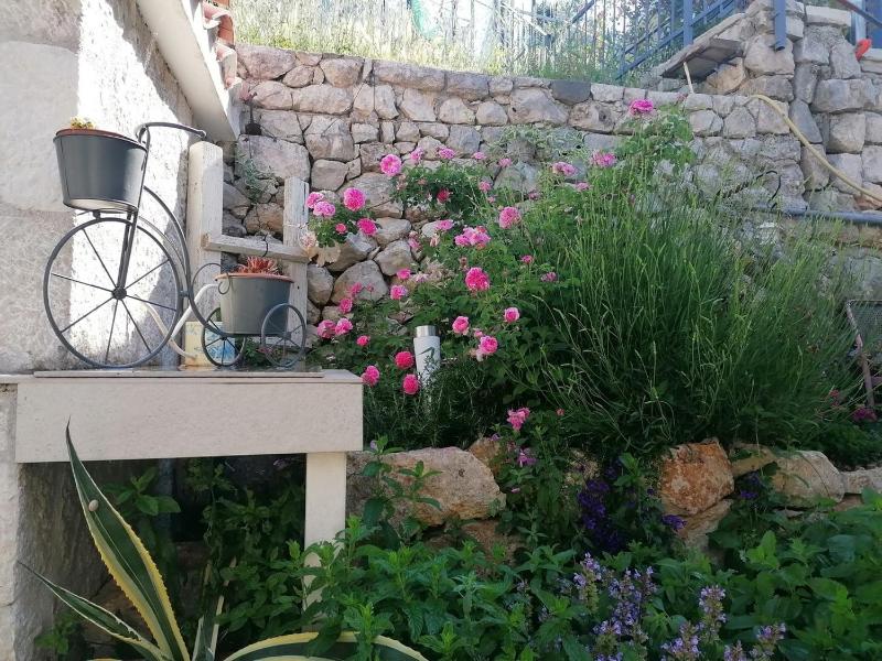 Holiday house with a parking space Gornja Podgora - Makarska - 22242 - image 11