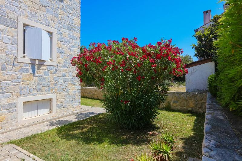 Family-friendly apartments with swimming pool Biograd na Moru Biograd - 23754 - image 8