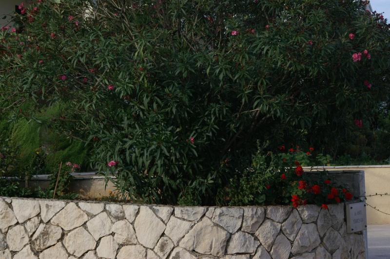 Apartments with parking space Supetar Brac - 2845 - image 22