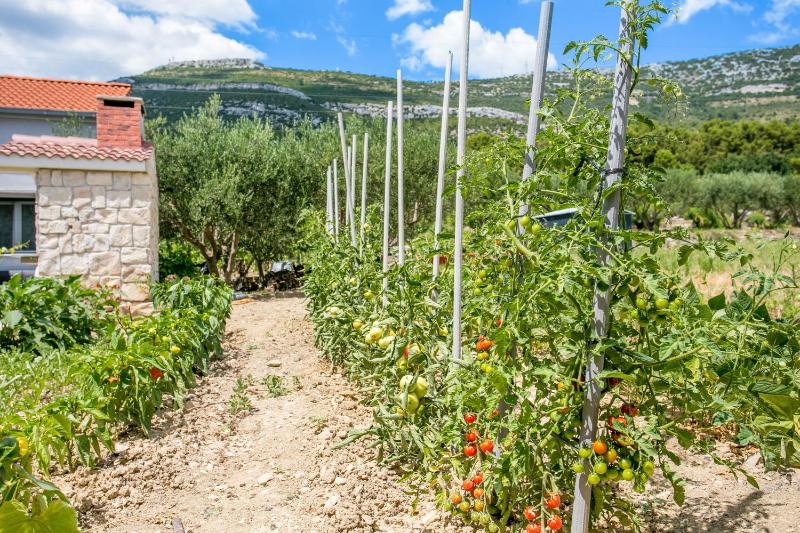Secluded holiday house Kastel Stari - Kastela - 23384 - image 5