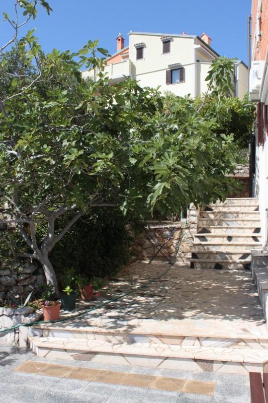 Apartments and rooms by the sea Mali Losinj (Losinj) - 7977 - image 26