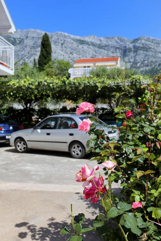 Apartments with parking space Orebic Peljesac - 10102 - image 11