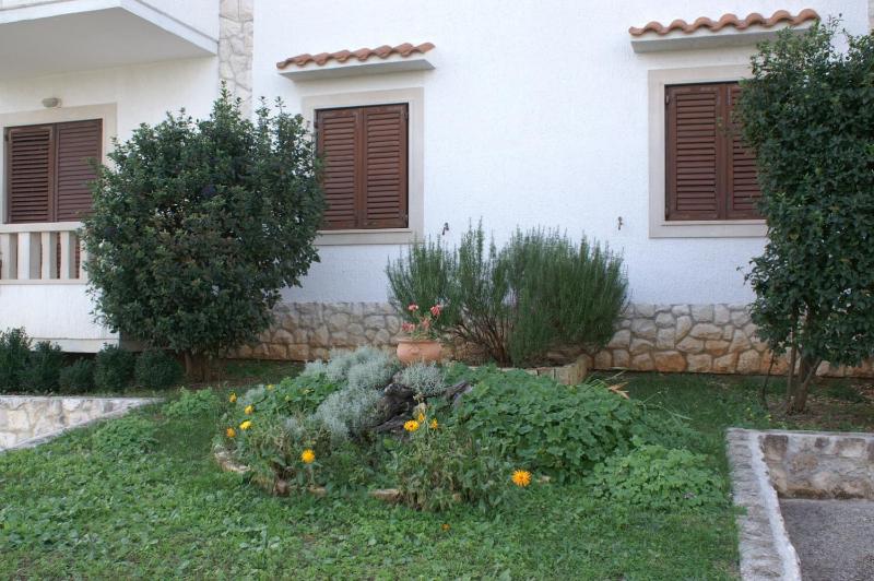 Apartments with swimming pool Splitska Brac - 2889 - image 32