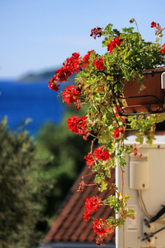 Apartments with parking space Orebic Peljesac - 4565 - image 10