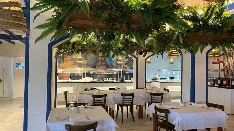 Evenia Zoraida Garden - image 24