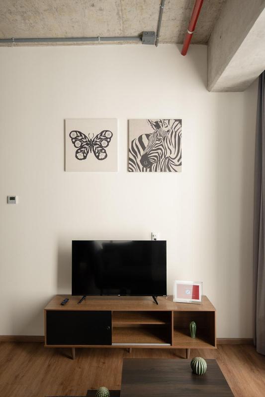 Modern Studio in Mexico City - image 2