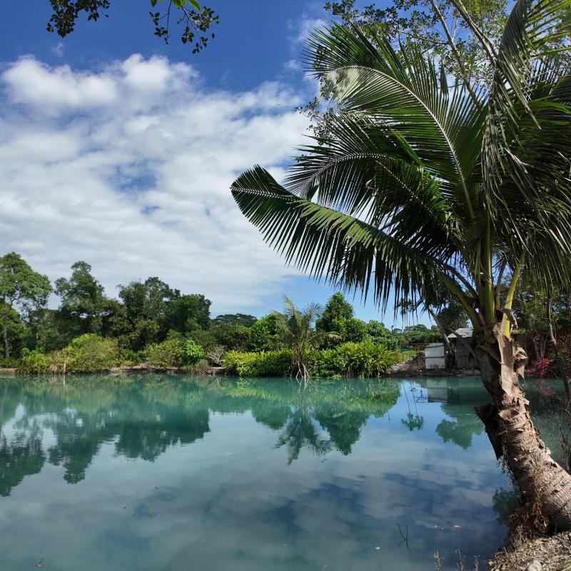 Shu Hai Cui Hu Homestay - image 13