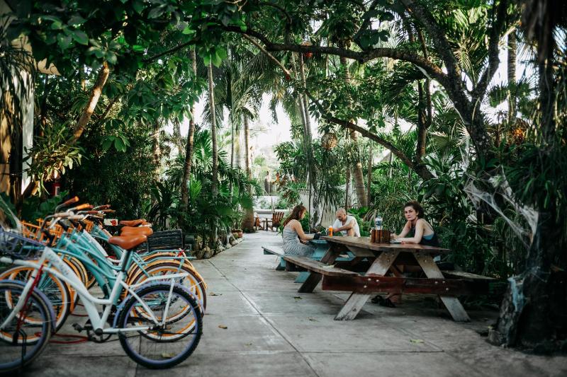 Hostel Oryx Tulum - image 18