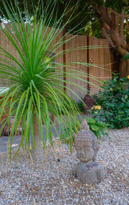 Talavera Palm Springs Hotel - 21 & Over - image 13