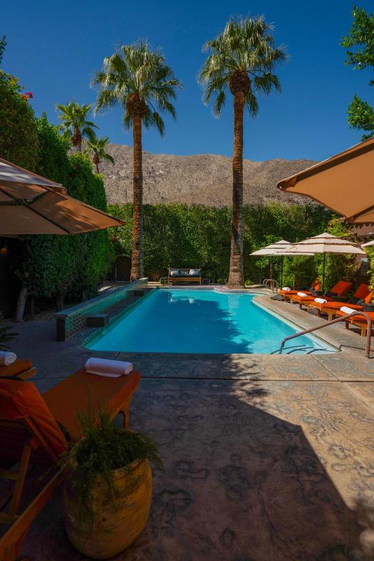 Talavera Palm Springs Hotel - 21 & Over - image 19
