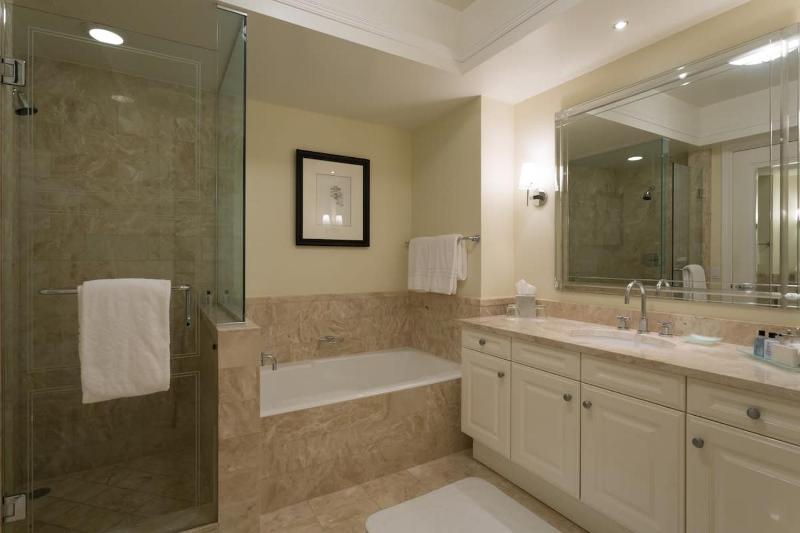 Luxury Four Seasons Condo Free Valet & Gym - image 15