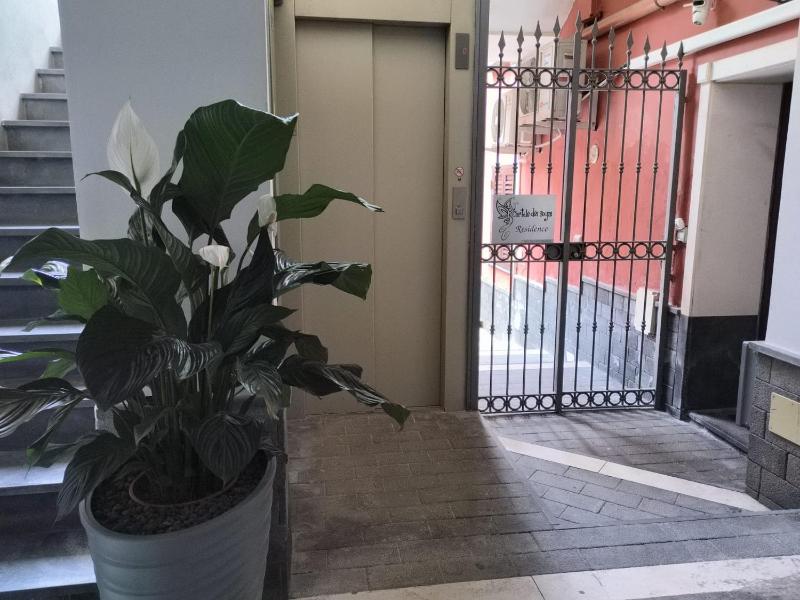 Cortile dei Sogni - image 3