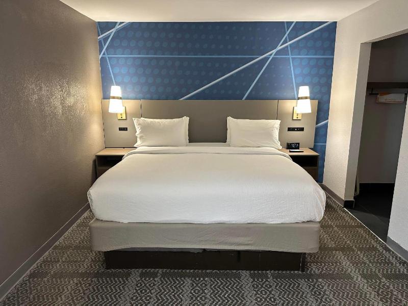 Comfort Inn & Suites Savannah Airport - image 33
