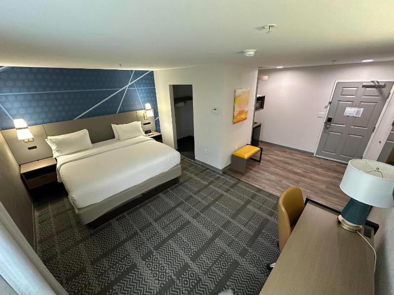 Comfort Inn & Suites Savannah Airport - image 26
