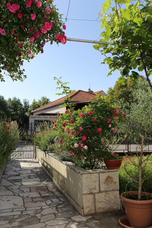 Apartments by the sea Korcula - 10042 - image 11